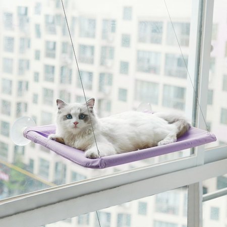 Window Cat Bed, Cat Window Seat,Window Perch Bed Hammock with 2 Extra Replaceable,Suction Cups Space Saving,All-Around 360° Sunbath Holds Up to 55 lbs for Any Cat Size, Purple, Pet Supplies
Window Cat Bed, Cat Window Seat,Window Perch Bed Hammock with 2 Extra Replaceable,Suction Cups Space Saving,All-Around 360° Sunbath Holds Up to 55 lbs for Any Cat Size, Purple, Pet Supplies