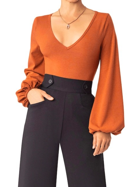 Winter Skinny Simple V neck Date Daily Long sleeve Tops, Orange, Tops