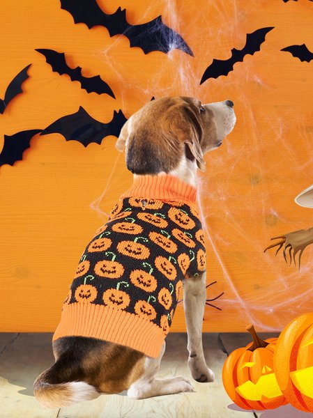 Halloween Pumpkin Funny Knitting Dog Clothes Cat Clothes, Home & Garden & Decorations
Halloween Pumpkin Funny Knitting Dog Clothes Cat Clothes, Home & Garden & Decorations