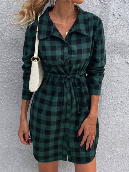 Regular Fit Plaid Shirt Collar Casual Dress, Green, Dresses