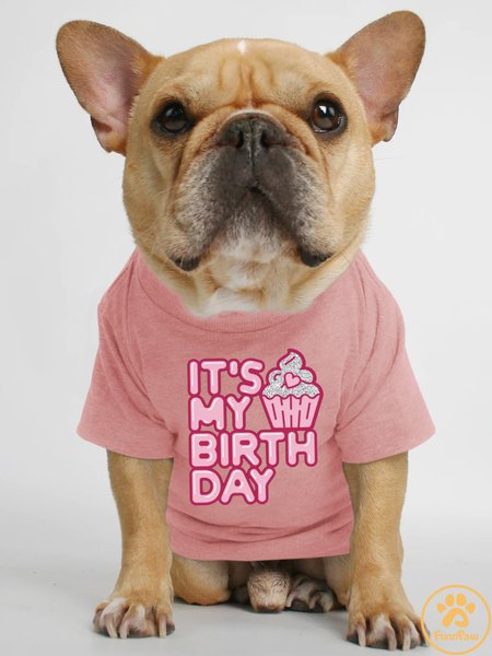 Lilicloth X Funnpaw It's My Birthday Hunman Matching Dog T-Shirt, Pink, Pet T-shirts
Lilicloth X Funnpaw It's My Birthday Hunman Matching Dog T-Shirt, Pink, Pet T-shirts