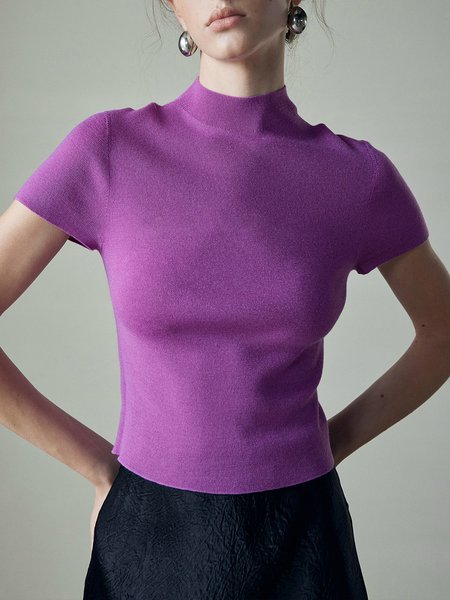

Short Sleeve Plain Stand Collar Urban T-Shirt, Purple, Tees