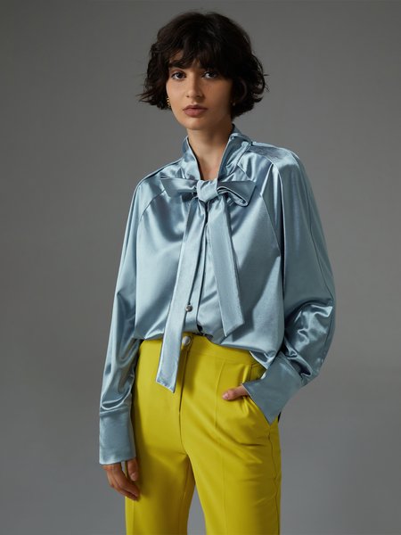

Casual Shawl Collar Blouse, Blue, Blouses and Shirts