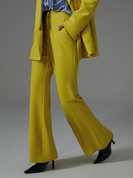 

Regular Fit Plain Casual Fashion Pants, Yellow, Pants