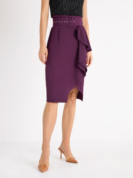 

Lady Regular Fit Solid Skirt, Purple, Skirts