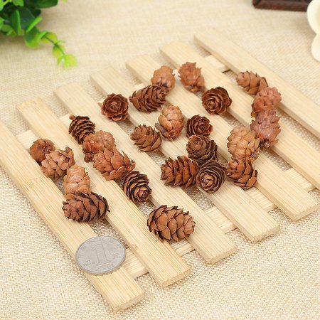 

10 Pcs Real Natural Small Pine Cones for Christmas Craft Decorations, 1#, Home&Garden