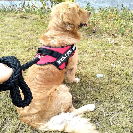 No Pull Dog Harness Camouflage/XS