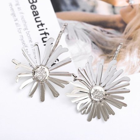 

Earrings, Silver, Accessories