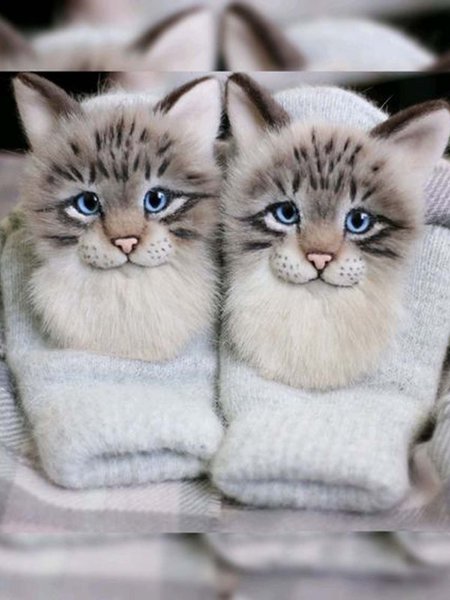 

Polyester Printed Casual Winter Gray Gloves, Scarves&Gloves
