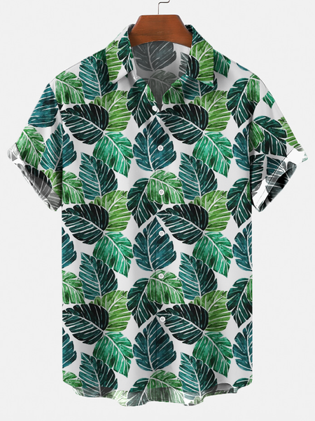 

Vintage Shirts & Tops, Green, Short Sleeves Shirts