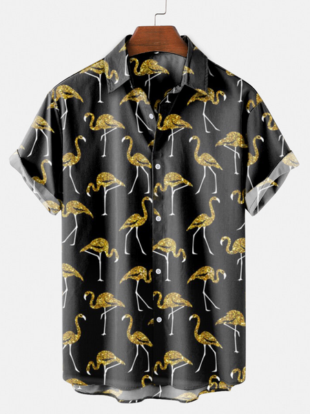 

Shirt Collar Shirts & Tops, Black, Shirts