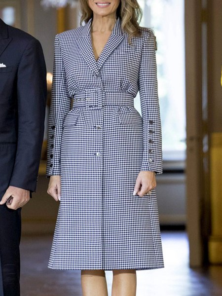 

Elegant Long Sleeve Lapel Dress, As picture, Midi Dresses