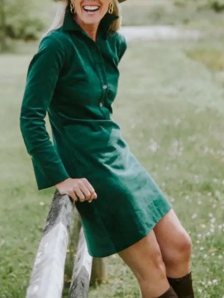 

Long Sleeve Shirt Collar Plain Shift Dress, Green, Mini Dresses