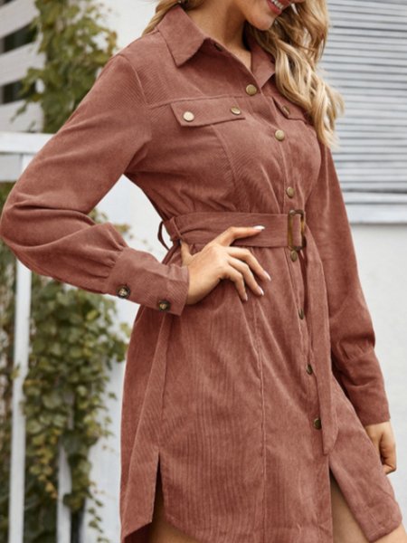 

Simple Long Sleeve Regular Fit Dress, Brick red, Mini Dresses