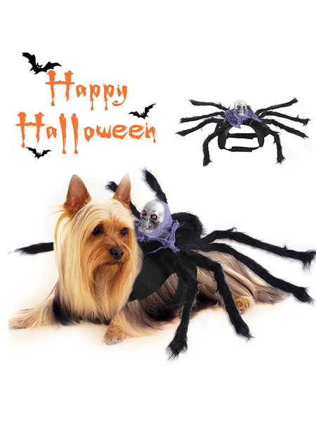 

Halloween Pet Spider Skull Costume, Purple, Accessories