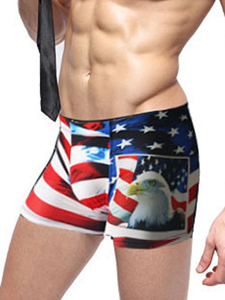 

Mens 3D American Eagle Printing U Convex Pouch Soft Breathable Thin Home Boxers Briefs, White, Acc