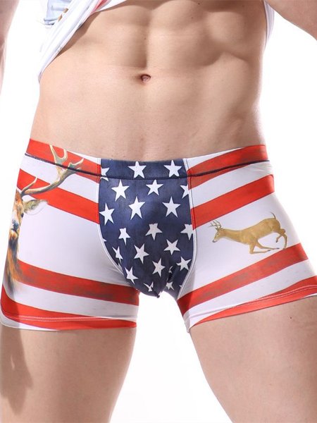 

Mens Sexy Ice Silk American Flag Printing Breathable Casual Boxer Briefs, White, Acc