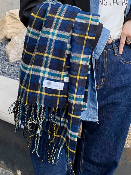 

Checked/Plaid Scarf, Blue, Women Scarves & Shawls