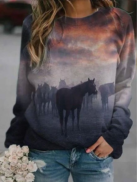 

Horses Printed Casual Raglan Sleeve Crew Neck Sweatshirt, Gray, Sweatshirts & Hoodies