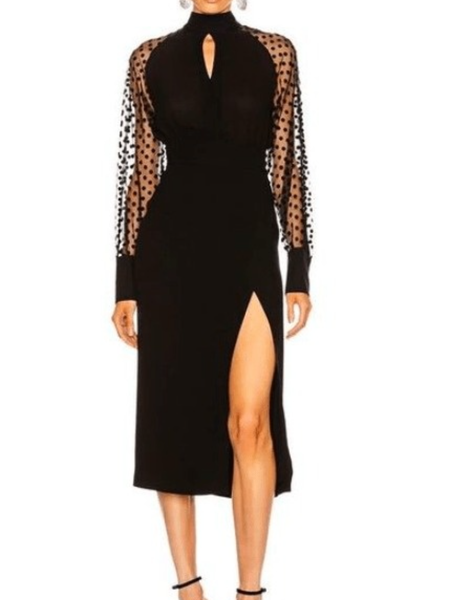 

Spring Plain Regular Fit Stand Collar Long sleeve Dresses, Black, Midi Dresses