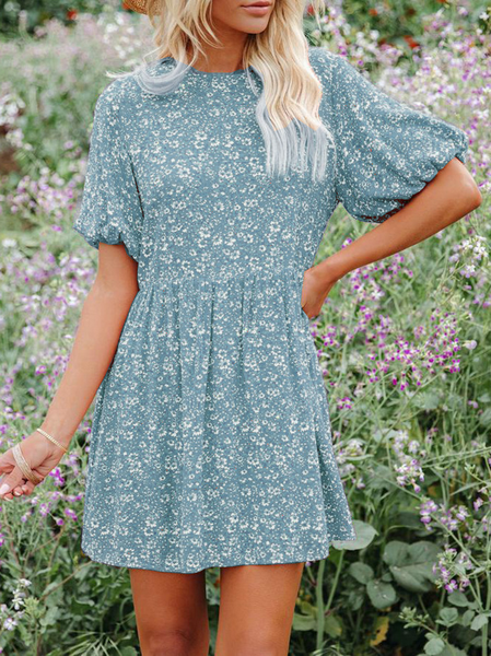

Small Floral Lantern Casual Women Casual Crew Neck Dresses, Lightblue, Mini Dresses