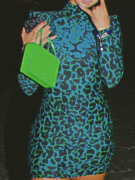 

Leopard Skinny Statement Bodycon Mini Dress, Green, Mini Dresses
