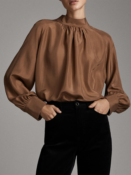 Elegant Regular Fit Solid Long sleeve Top, Brown, Blouses and Shirts