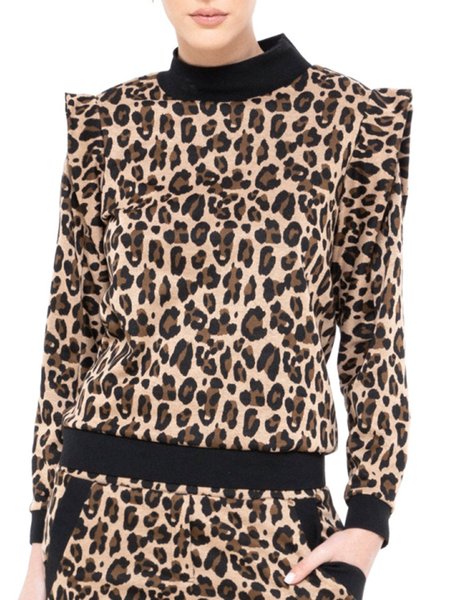 

Casual Long Sleeve Regular Fit Leopard Top, Tops