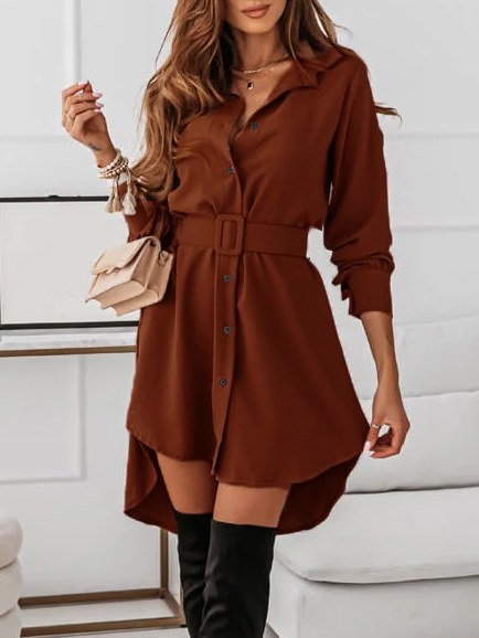 Shirt Collar Blouse, Coffee, Blouses & Shirts