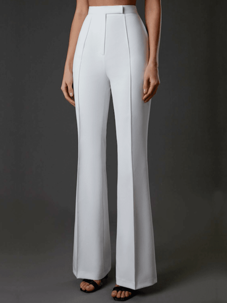 

Spring Work Regular Fit High Waist Zipper fly Pants, White, Wide Leg Pants