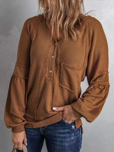 

Casual Hooded Basics Plain Sweatshirt, Brown, Blouses & Shirts