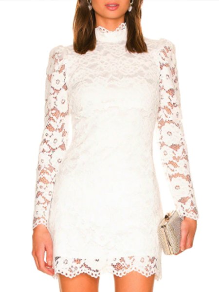 

Elegant Formal Stand Collar Solid Lace Dress, White, Mini Dresses