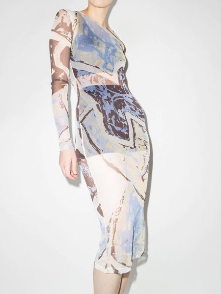 

Skinny Statement Round Neck Printed Mesh Dress, As picture, Midi Dresses