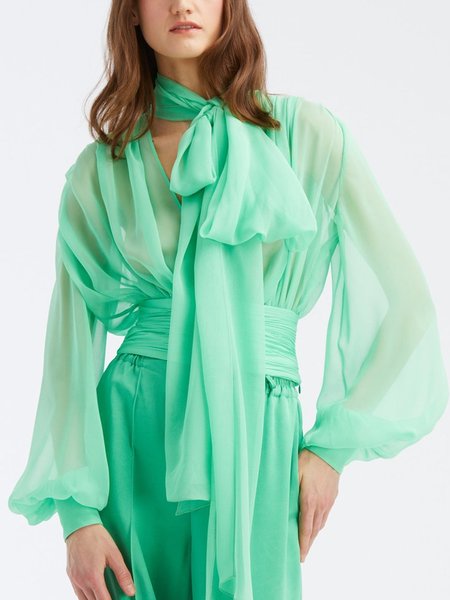 

Solid Regular Fit Elegant Long Sleeve Top, Green, Tops