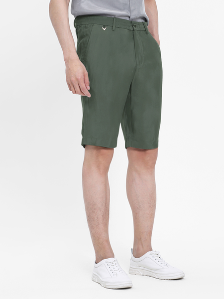 

Men's Wrinkle Resistant Elastic Waist Casual Shorts, Green, Shorts