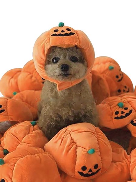 

Halloween Pumpkin Pet Hat Funny Decorative Cat/Dog, Orange, Home&Garden