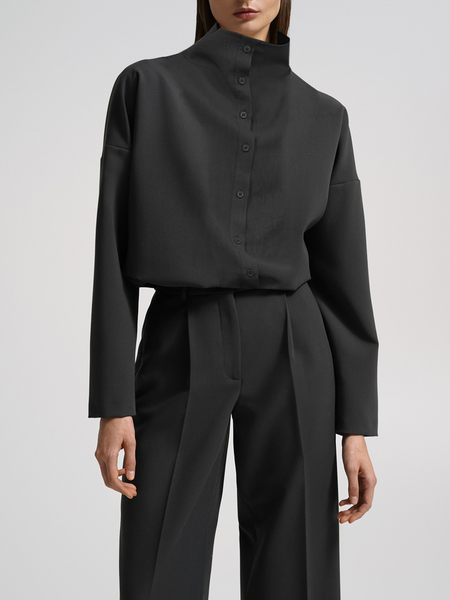 

Women Plain Simple Autumn Stand Collar No Elasticity Commuting Long sleeve Regular Regular Blouse, Deep gray, Blouses and Shirts