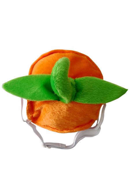 

Halloween Decorative Pet Pumpkin Cape Shawl Pumpkin Hat, As picture, Home & Garden & Decorations