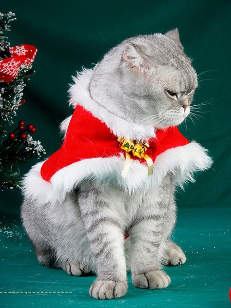 

Christmas Cat Shawl Cape Red Cat Bells Festive Costume, Pet Supplies