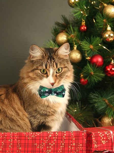 

Christmas Plaid Snowflake Pattern Pet Bow Collar Cat Festive Decoration, Green, Home&Garden
