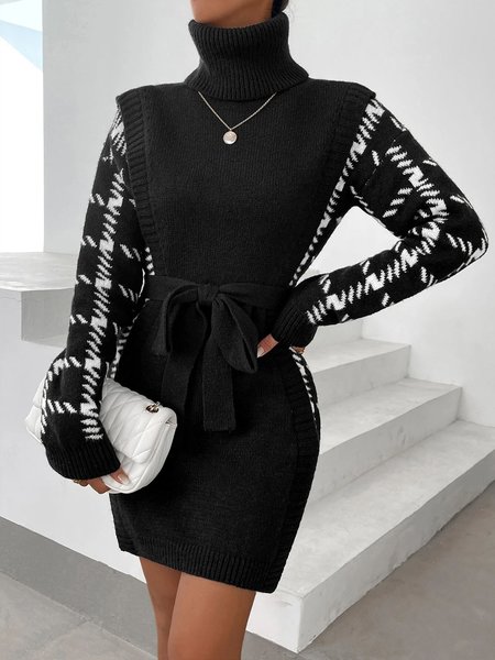 

Daily Long sleeve Regular Fit Simple Turtleneck Dress, Black, Mini Dresses