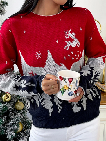 

Regular Fit Crew Neck Christmas Sweater, Multicolor, Sweaters