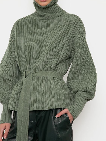 

Elegant Regular Fit Turtleneck Sweater, Green, Pullovers