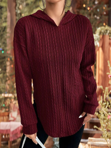 

Regular Fit Hoodie Cotton-Blend Casual Sweatshirt, Wine red, Sweatshirts & Hoodies
