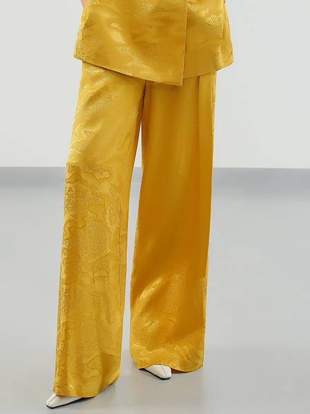 

Abstract Elegant Regular Fit Fashion Pants, Yellow, Pants