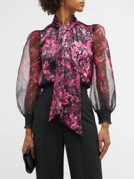 

Organza Regular Fit Elegant Long sleeve Blouse, As picture, Blouses and Shirts