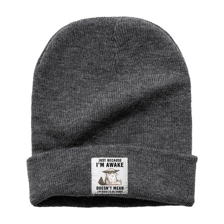 

Just Because Im Awake Doesn‘t Mean I'm Read To Do Things Beanie Hat, Deep gray, Women's Hats