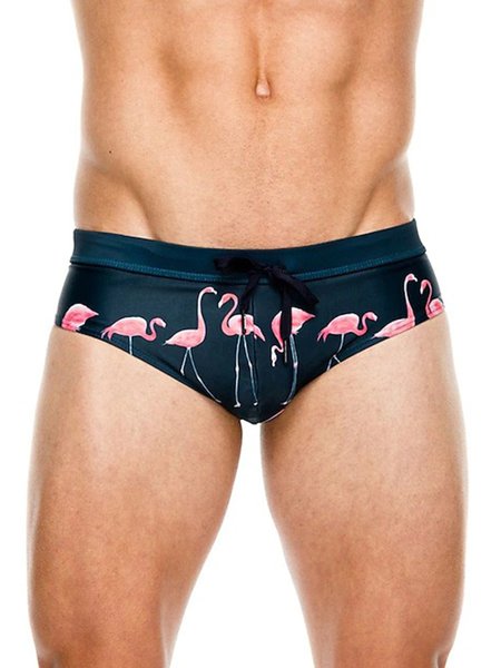 

Vacation Animal Printing Swimsuit Bottom, Blue, Men's shorts