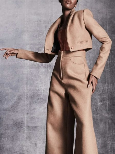 

Regular Fit Plain Lapel Collar Elegant Blazer, Light brown, Blazers