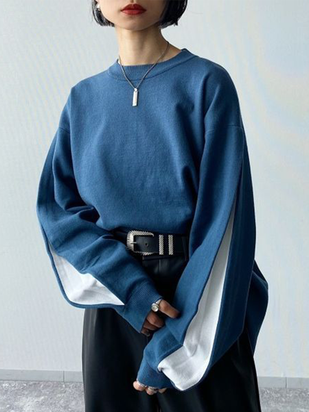 

Elegant Regular Fit Crew Neck Plain Sweatshirt, Blue, Hoodies and Sweatshirts